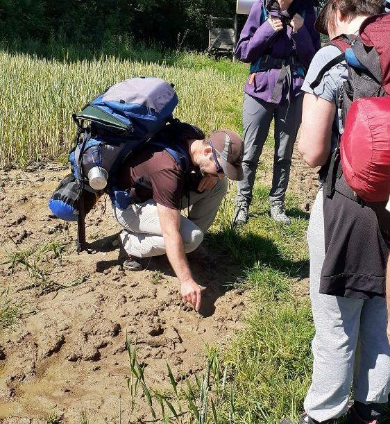 Week end faune sauvage de Touraine