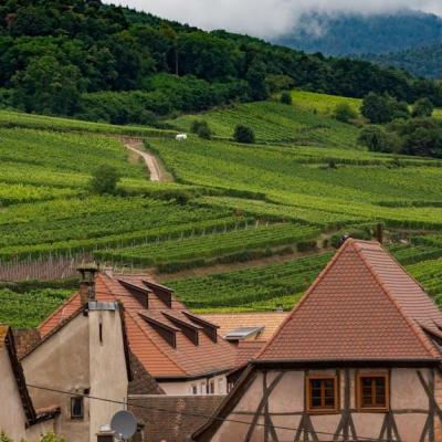 Séjour nature en Alsace